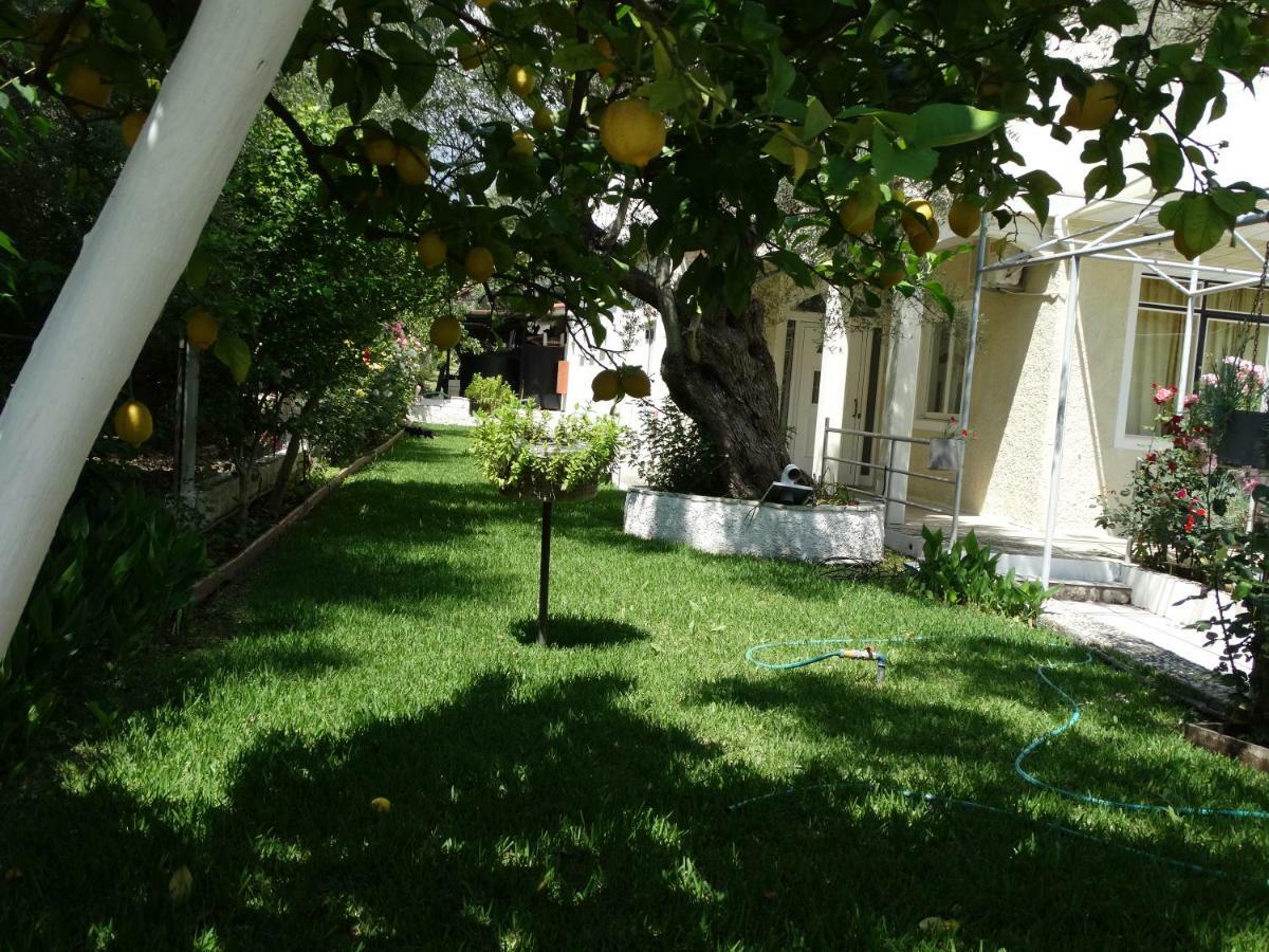 Margarita Apartments نِكيانا المظهر الخارجي الصورة